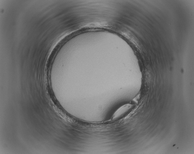 X0000067350976200604281437