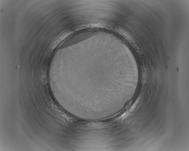 X0000067350977200604281437