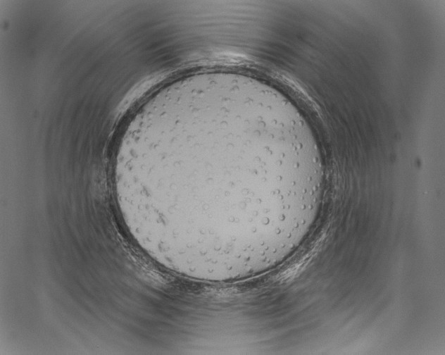 X0000067350978200604281437