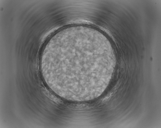 X0000067350979200604281437