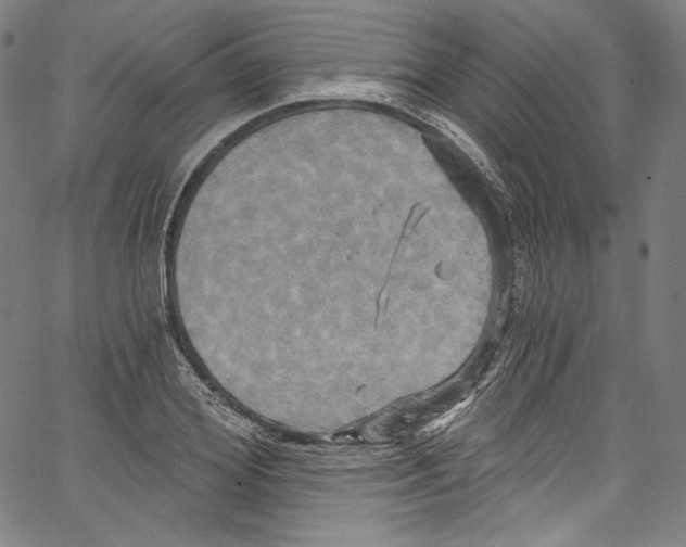 X0000067350980200604281437