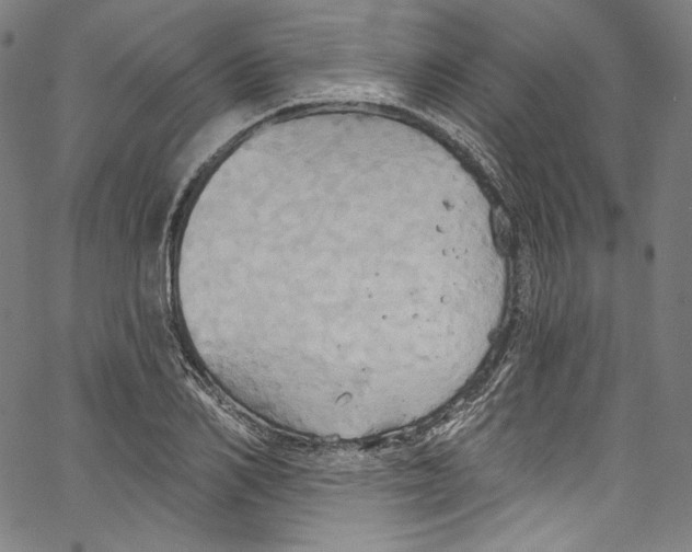 X0000067350982200604281437