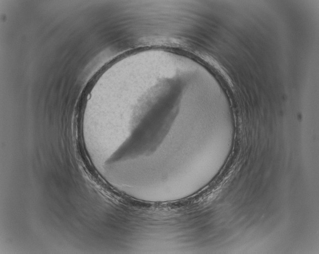 X0000067350983200604281437