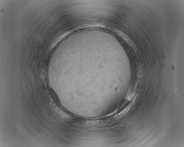 X0000067350985200604281437