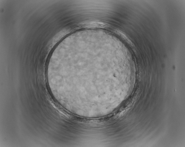 X0000067350986200604281437