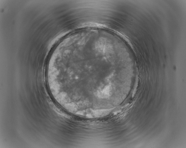 X0000067350987200604281437