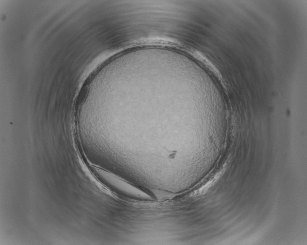 X0000067350989200604281437