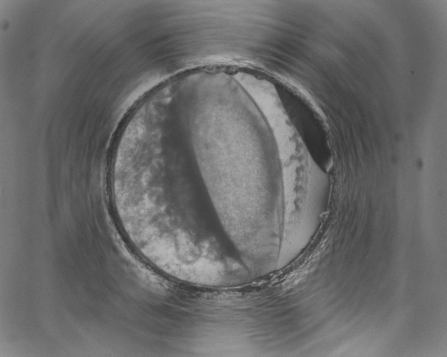 X0000067350991200604281437