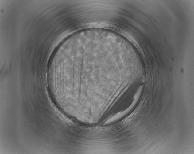 X0000067350992200604281437