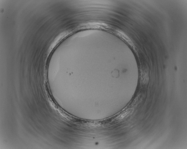 X0000067350994200604281437