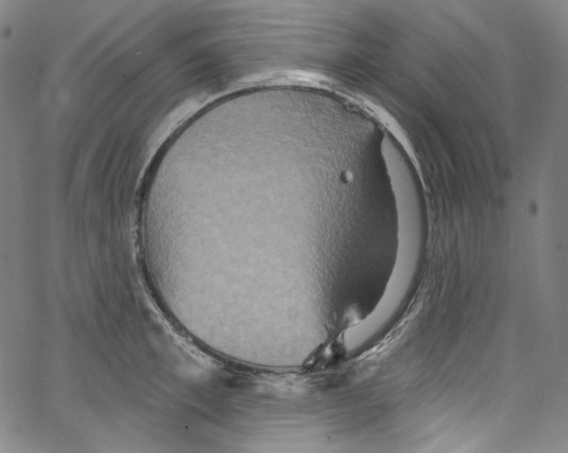 X0000067350997200604281437