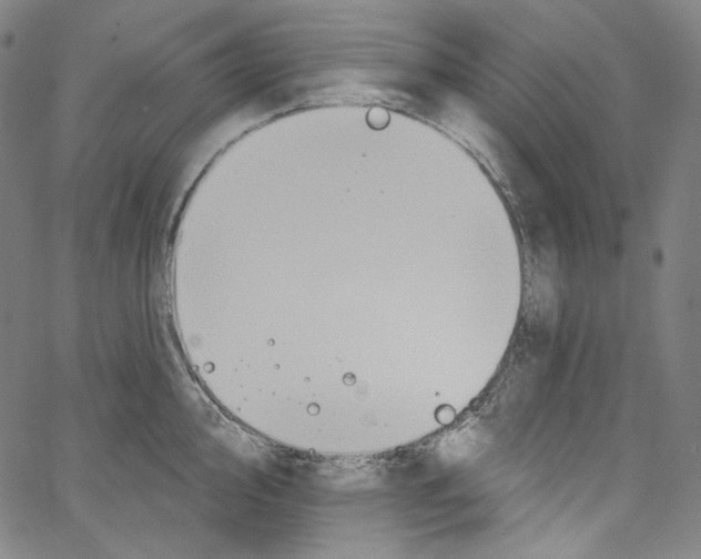 X0000067351000200604281437