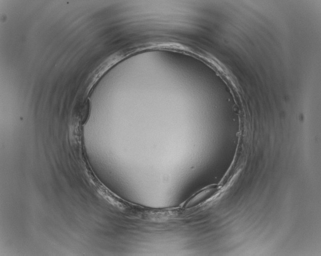 X0000067351001200604281437