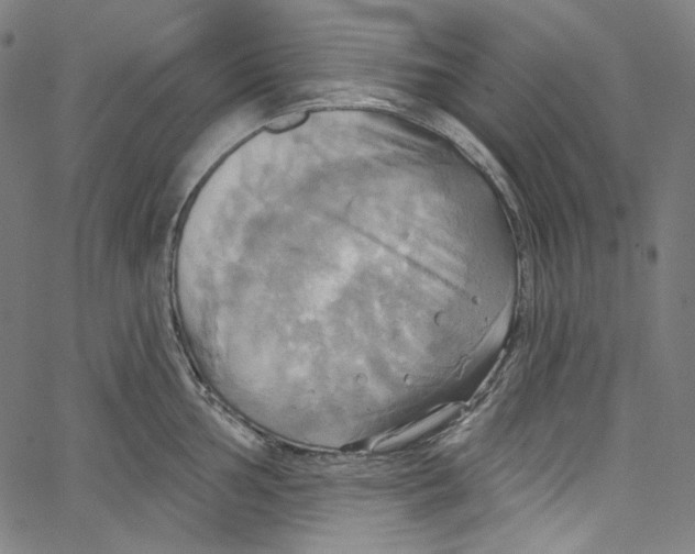 X0000067351002200604281437