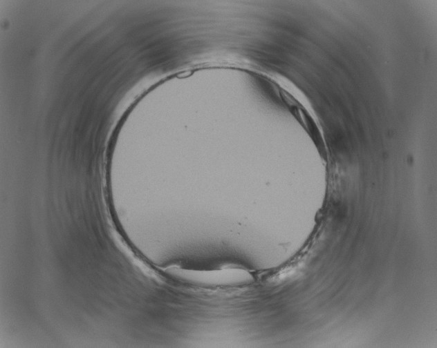 X0000067351005200604281437