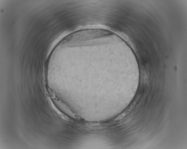 X0000067351006200604281437