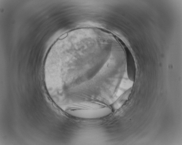 X0000067351008200604281437