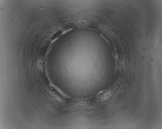 X0000067351010200604281436