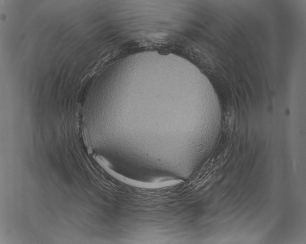 X0000067351012200604281436