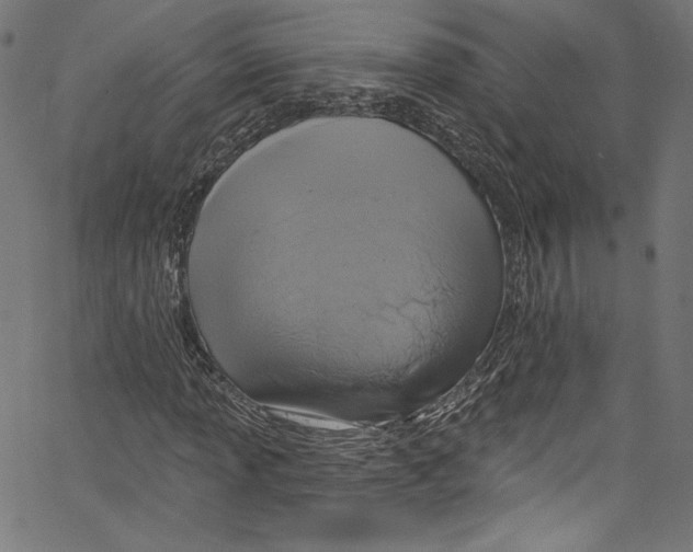 X0000067351013200604281436