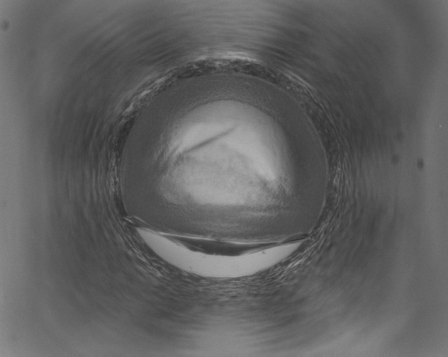 X0000067351014200604281436