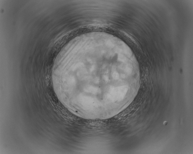 X0000067351015200604281436