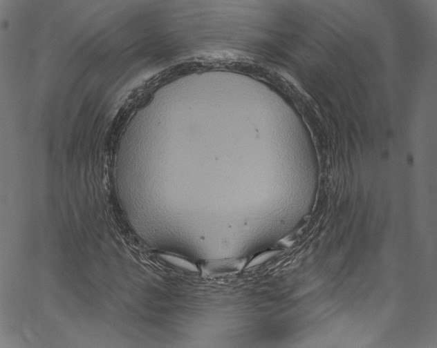 X0000067351016200604281436