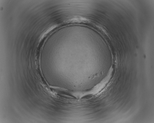 X0000067351018200604281436