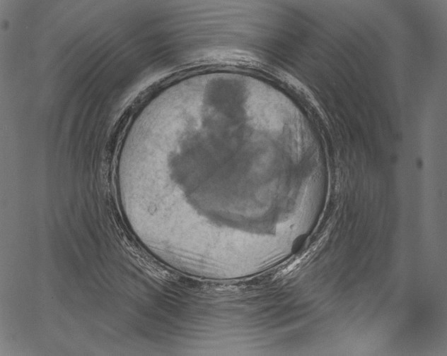 X0000067351019200604281436