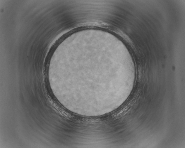 X0000067351020200604281436