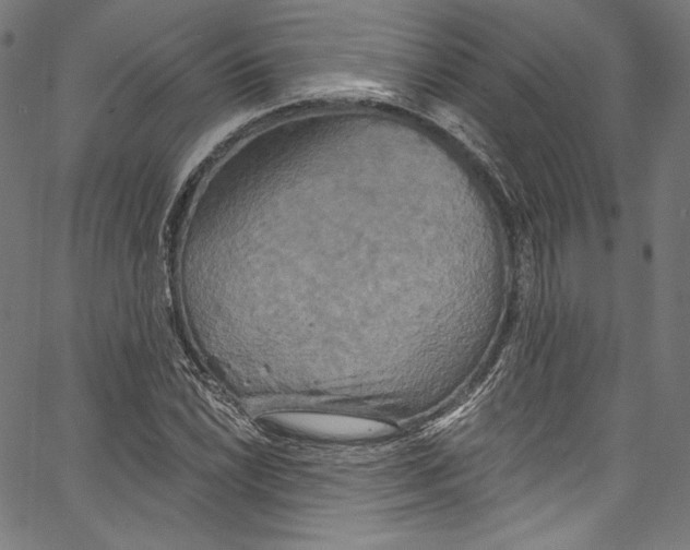 X0000067351022200604281436