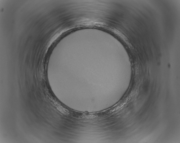 X0000067351023200604281436