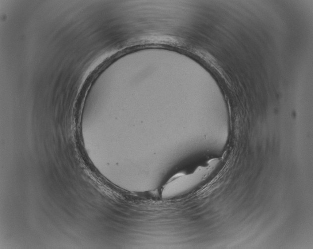 X0000067351024200604281436