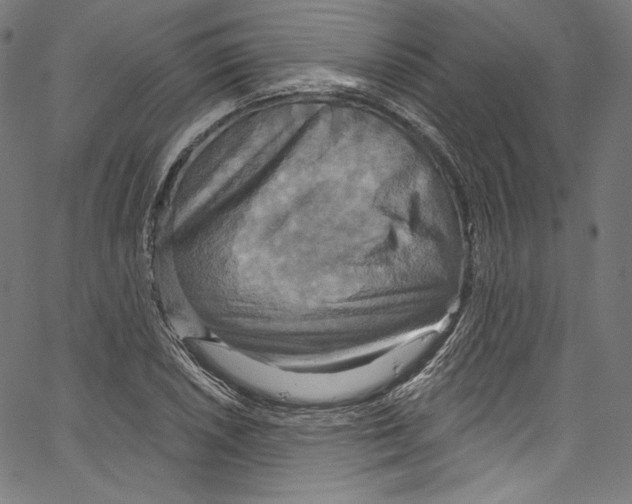 X0000067351026200604281436