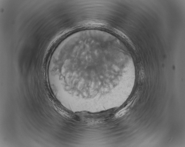 X0000067351027200604281436