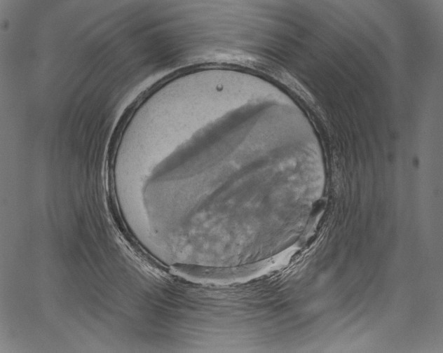 X0000067351028200604281437