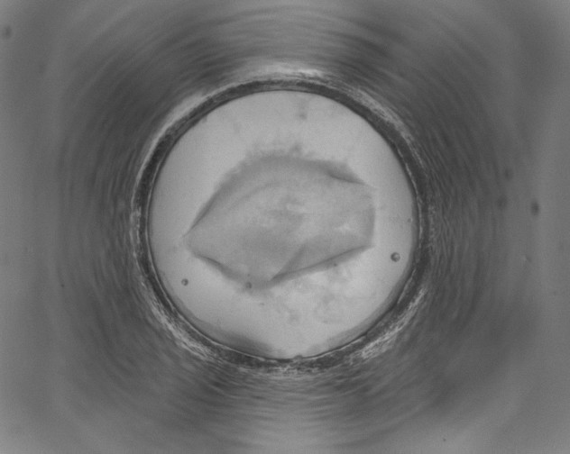 X0000067351029200604281437