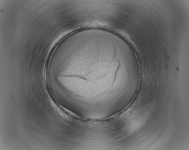 X0000067351032200604281437