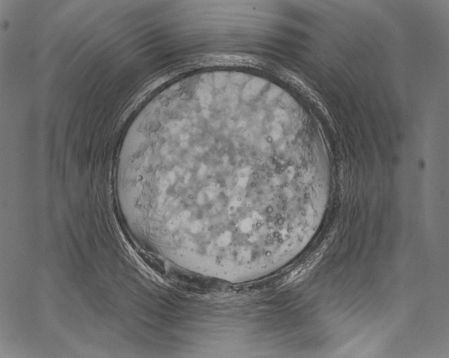 X0000067351033200604281437