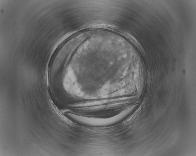 X0000067351036200604281437