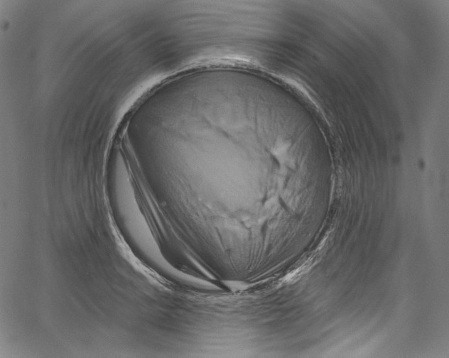 X0000067351038200604281437