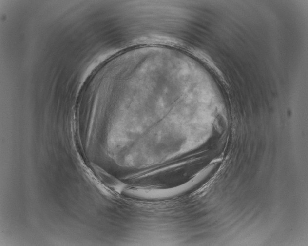 X0000067351040200604281437