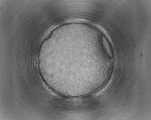 X0000067351041200604281437