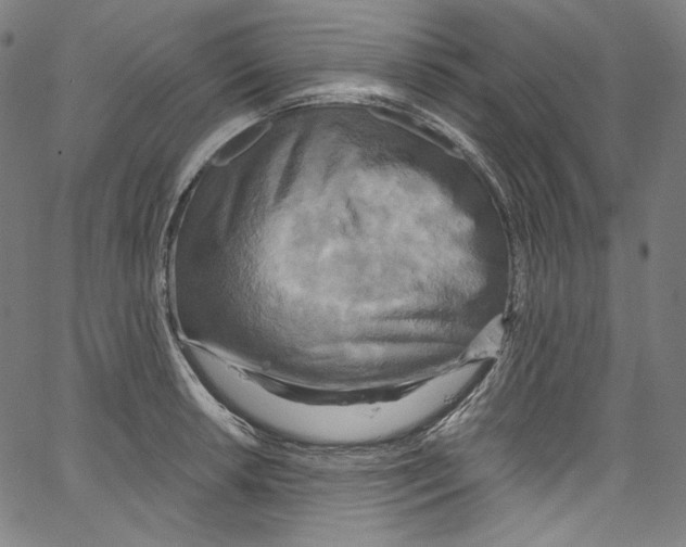 X0000067351042200604281437