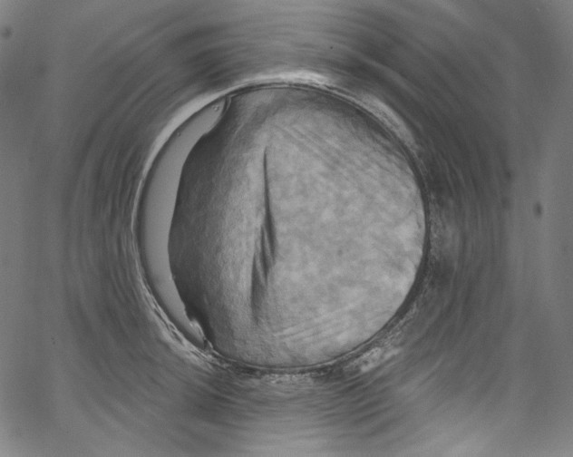 X0000067351044200604281437