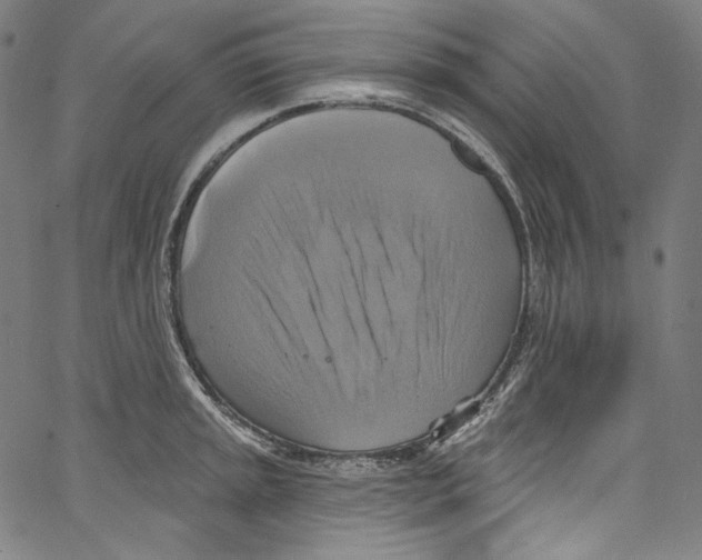 X0000067351045200604281437