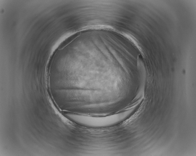 X0000067351046200604281437