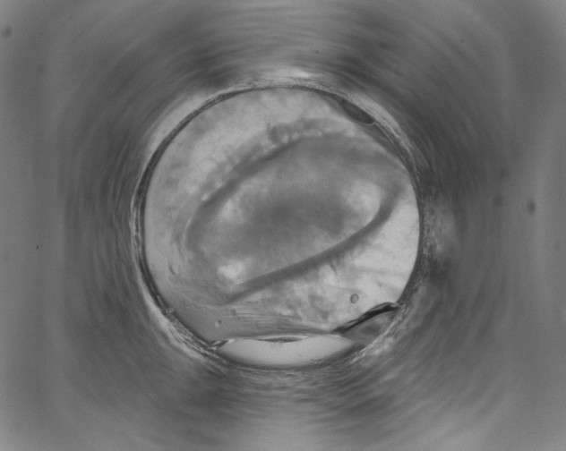 X0000067351047200604281437