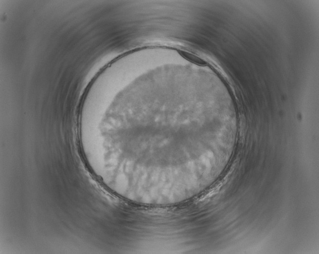 X0000067351048200604281437