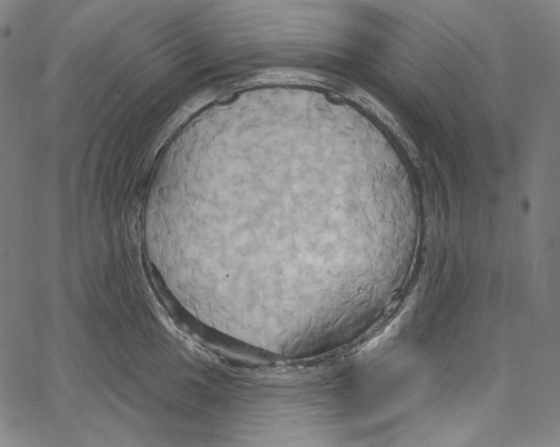 X0000067351049200604281437